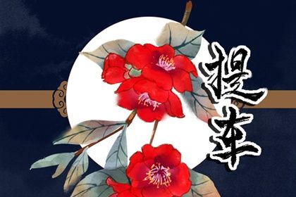 2025年07月21日提车可不可以？ 今天提新车怎么样？