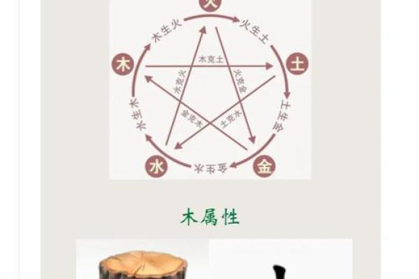 五行误区大揭秘：木属性性格，颠覆传统观念的真相