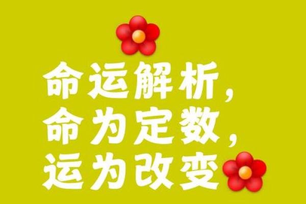 兴易命理中的命运密码：你未曾了解的命运法则