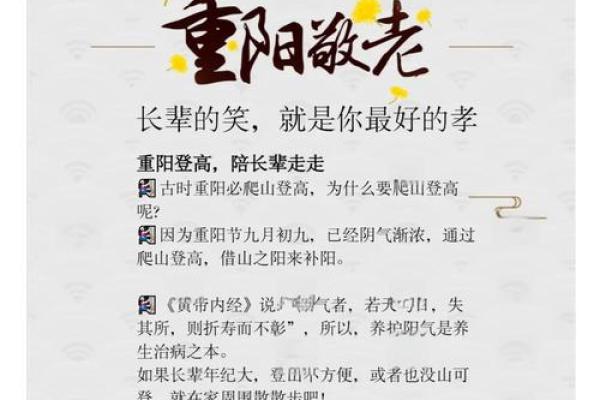 重阳节韵：登高望远中的养生智慧