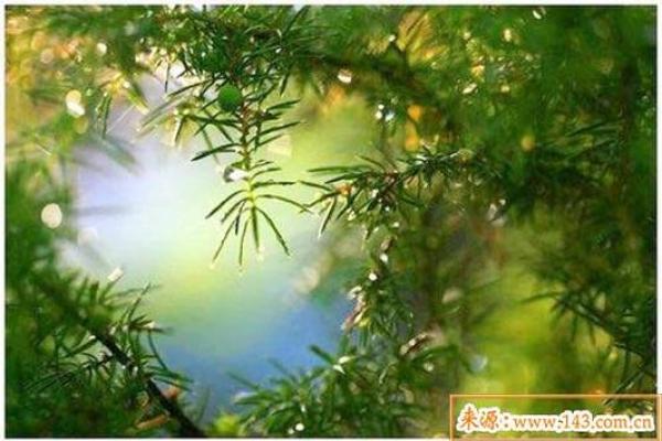 如何改变命运？五行十四画格局，带你走出人生迷局