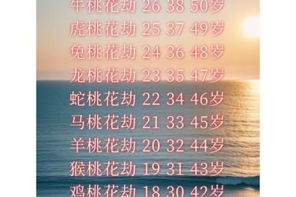 探寻命运密码：八字桃花运的颠覆性真相