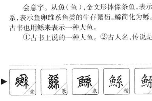 破解亚字之谜：五行性格解析，你了解自己真正的潜力吗？