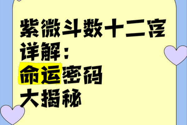 你知道吗？正五级命理背后暗藏的命运密码