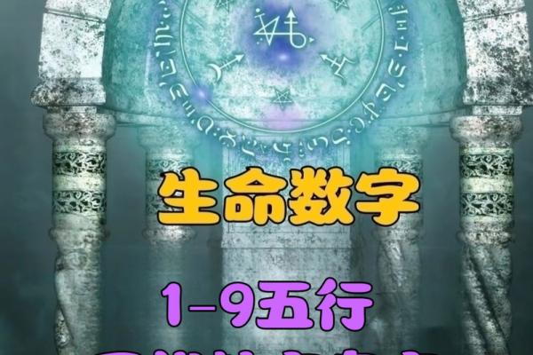 适字五行格局探秘：揭秘性格密码，教你如何改变人生格局