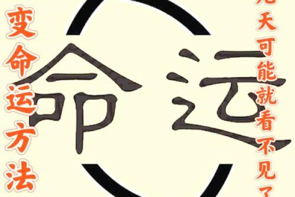 姓名命理中的颠覆性真相，改变你的人生走向
