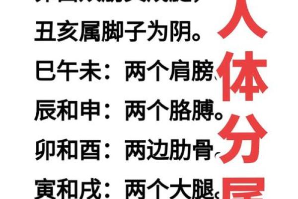 如何改变命运？八字命理中的隐秘力量