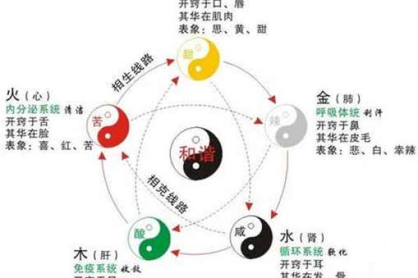 如何改变：打破葫芦五行局限，提升运势与人际关系