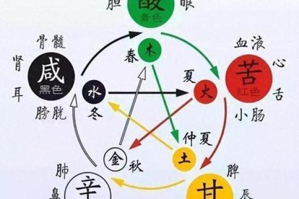 五行性格解析：揭秘你的天赋与潜力所在