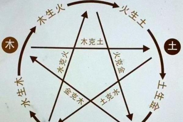 名字中的五行平衡术：如何补木提升运势，性格解析与改变策略