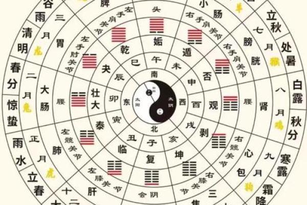 晨字五行性格解析：揭秘你的命运密码，反而助你逆风翻盘