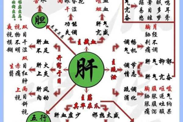 性格解析新视角：序五行格局如何帮助你找到真正的自我