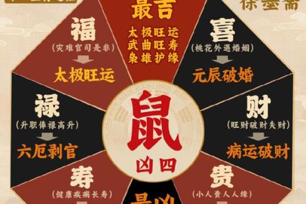 暗藏玄机：鼠兔相刑竟是命运的最佳安排？