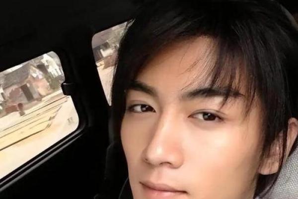 陈晓赵丽颖命理反而揭示命运密码中的颠覆性真相