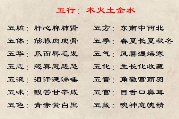 科字五行格局揭秘：性格解析如何助你解锁潜能