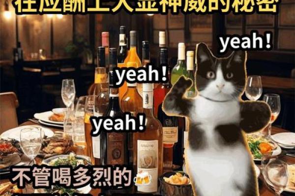赢字五行揭秘：颠覆传统性格解析，揭秘成功者的秘密武器