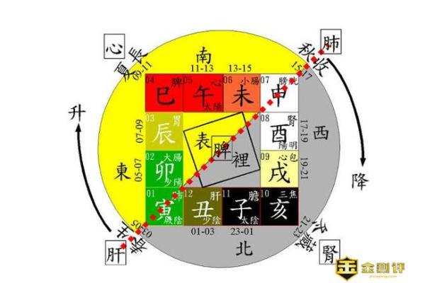 时辰五行解析：你的命运之谜，性格如何被时辰塑造？