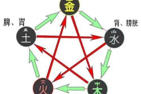 五行格局性格解析：解锁你的天赋，成就非凡人生