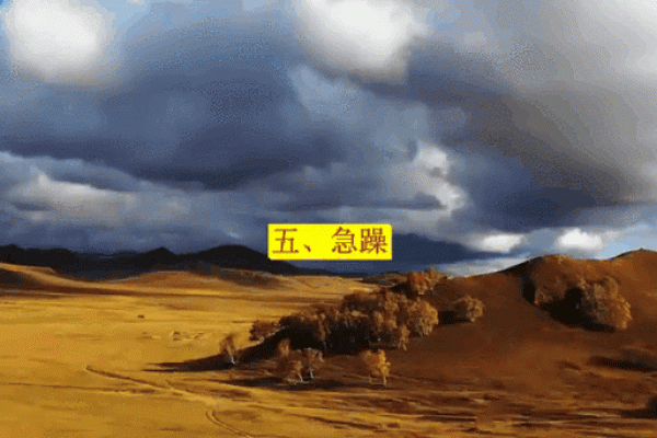 鹏鸟五行属性深度解析：颠覆传统性格观，如何重塑格局？