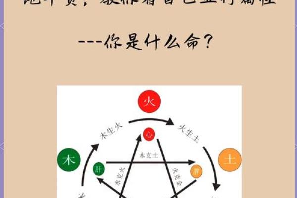 五行性格解析：如何通过五行格局找到你的天赋？