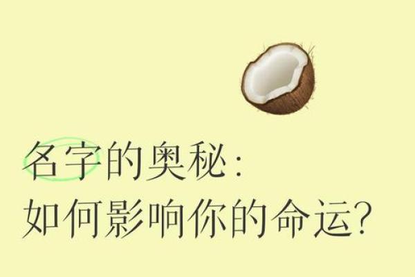 权志龙命运密码：如何通过命理破解人生奥秘