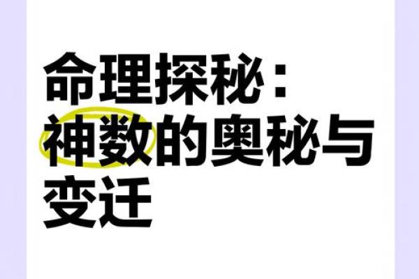 命理数神秘力量，能否打破命运的桎梏？
