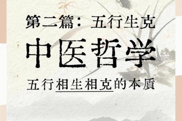 五行脏腑平衡术：揭秘性格优缺点，如何提升自我