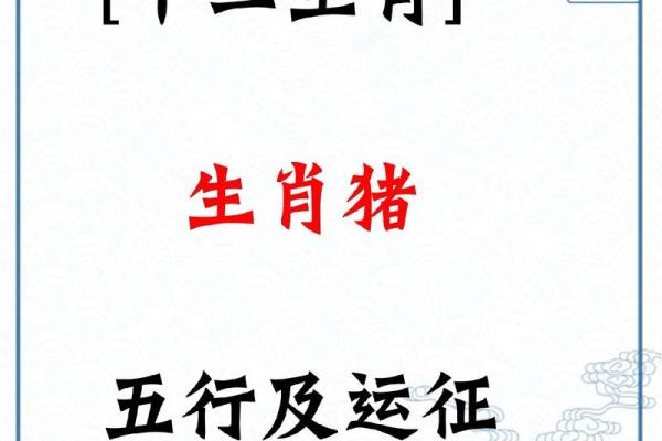 五行格局揭秘：生肖性格解析，如何找到你的天赋优势？