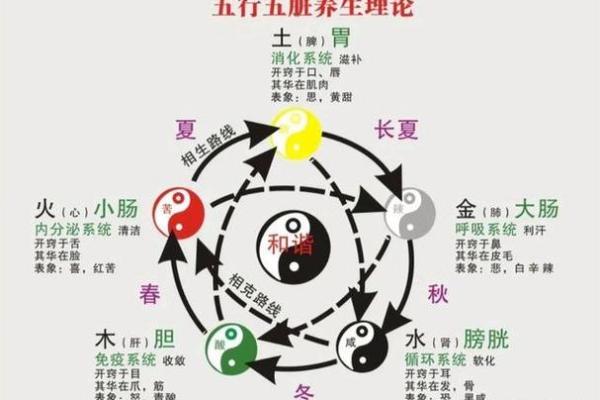 悔五行格局重塑：揭秘性格改变的神秘力量