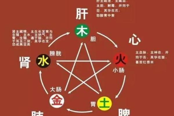揭秘五行格局：性格解析，如何布局你的生活蓝图？