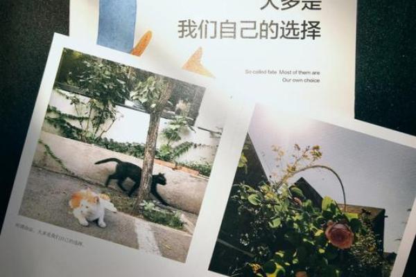 命运密码：十干喜忌如何影响你的命运轨迹
