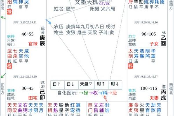 命运密码：十干喜忌如何影响你的命运轨迹