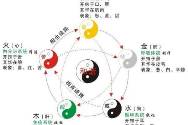 姿字五行格局揭秘：性格解析中的惊人发现