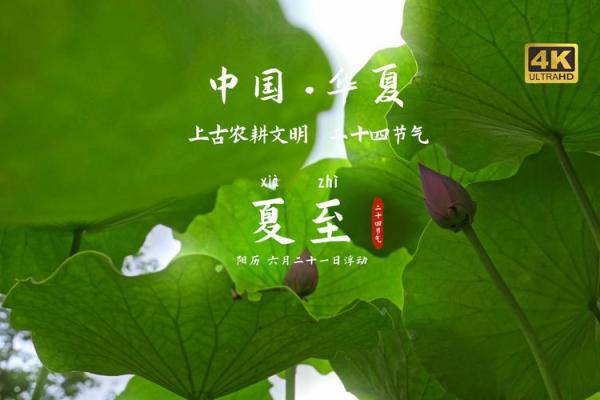 夏至节气与农耕文化的深厚联系