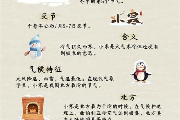 小寒节气：寒冷与养生的最佳平衡