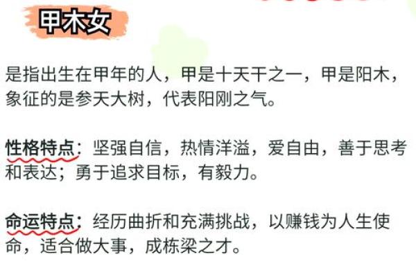 性格解析新视角：五行格局教你如何读懂自己