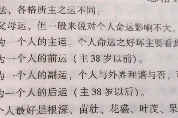 命运密码的真相，如何通过八字破解未来的迷雾
