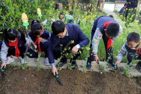 迎接秋收：八月如何利用农耕智慧准备冬季食物