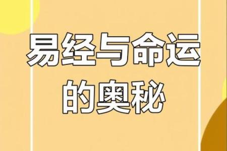 高德臣命理误区大揭秘：如何避免错误解读命运，改变人生