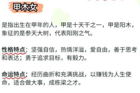性格解析新视角：五行格局教你如何读懂自己