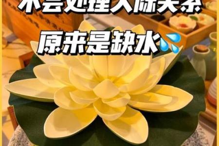实用攻略：如何利用五行格局改善人际关系