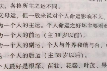 命运密码的真相，如何通过八字破解未来的迷雾