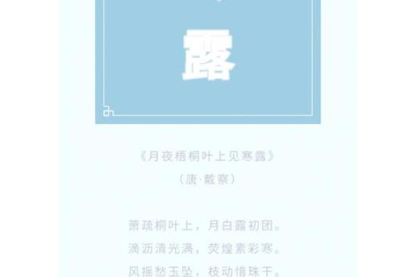 寒露节气：探讨秋冬养生的秘诀与实践