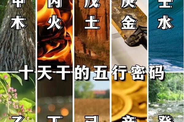 暗藏玄机的八字命理，反而让你误入命运陷阱