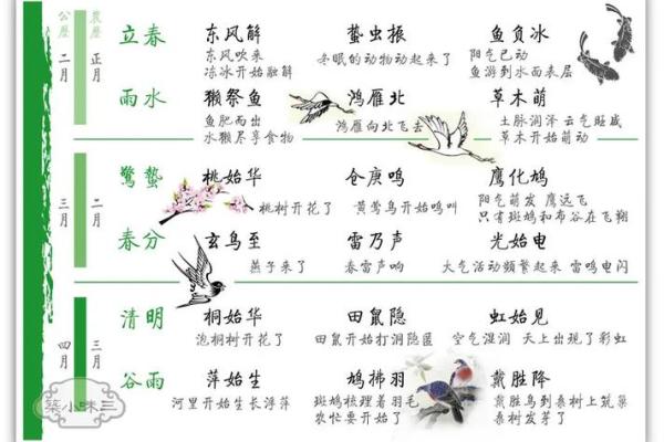 农耕季节的变迁：冬季农田与节气的密切关系