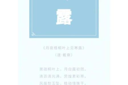 寒露节气：探讨秋冬养生的秘诀与实践
