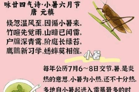 小暑节气与养生饮食的调整