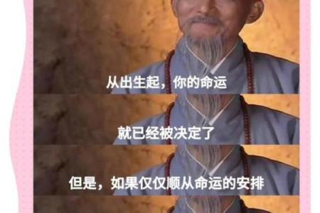 颠覆传统解读：无子命理背后的秘密，如何改变命运走向？