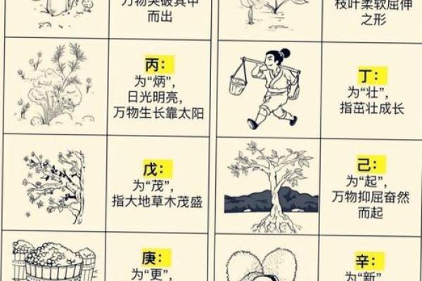 五行格局揭秘：性格解析如何影响你的职业选择？