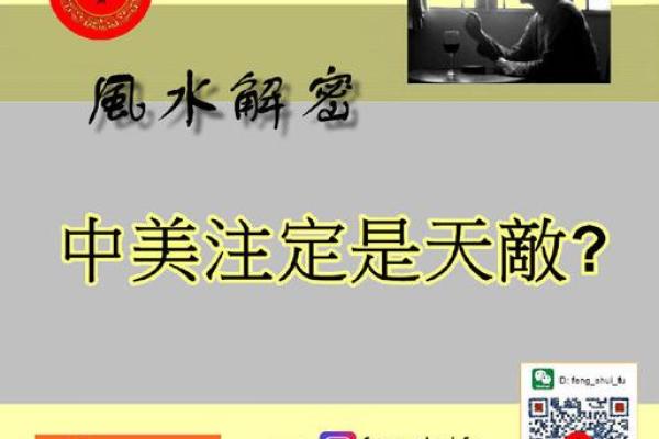 莲花五行格局揭秘：性格解析如何助你绽放真我